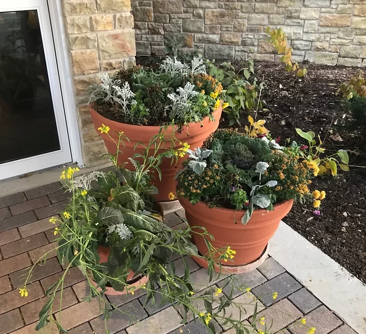 Does Your Property Need a Facelift?