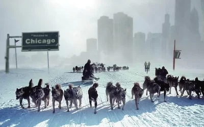 Have You Hired The Right Snow Removal Contractor?