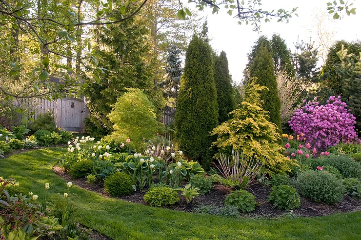 Don’t Get Caught with Your Plants Down